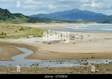 Waikawau vue sur la baie à marée basse par jour nuageux, péninsule de Coromandel, Nouvelle-Zélande Banque D'Images