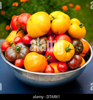 tomates Banque D'Images