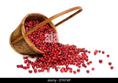 Сranberries déversant de panier en bois, isolé sur fond blanc Banque D'Images