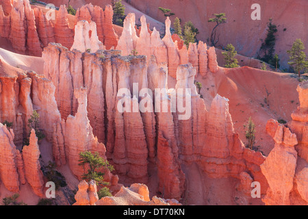 Les cheminées à Bryce Amphitheater au lever du soleil, Bryce National Park, en Utah. Banque D'Images