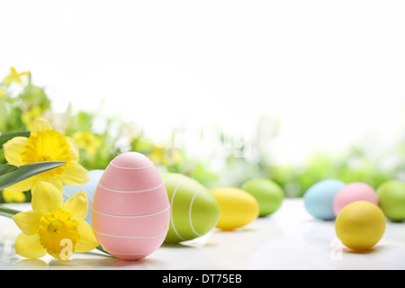 Œufs de Pâques et jonquille fleur sur fond blanc Banque D'Images