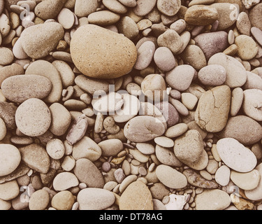 Un tas de galets polis et petites pierres plates dans le parc national Olympic. Banque D'Images