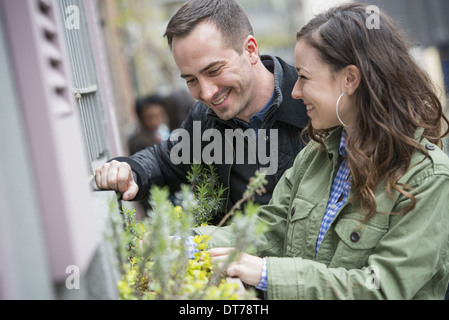 Un homme et une femme tendant une boîte de fenêtre sur une rue de la ville. Les fleurs du printemps. Banque D'Images