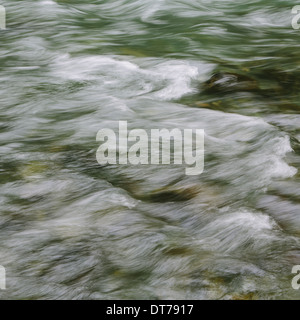 Détail de l'eau de la rivière qui coule, Dosewallips, River NP Olympique, WA Banque D'Images