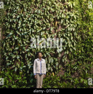 Une femme à la recherche jusqu'à un mur recouvert de plantes grimpantes et de feuillage. Banque D'Images