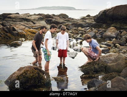 Un petit groupe de personnes debout dans l'eau peu profonde mise en commun la recherche de la vie marine rock sur la plage USA Banque D'Images