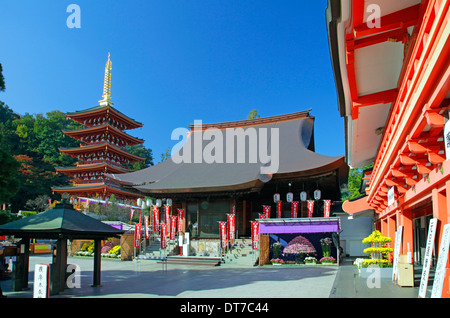 Takahata Fudo cinq pagode du temple histoire Tokyo Japon Banque D'Images