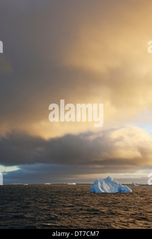 Les icebergs au lever du soleil dans la mer de Weddell, Antarctique, mer de Weddell, Antarctique Banque D'Images