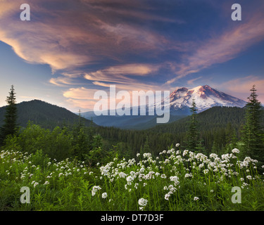 Pic enneigé entouré de forêt se reflétant dans la surface du lac Mount Rainier National Park New York USA Banque D'Images