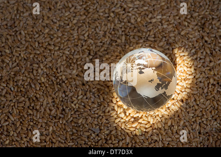 Globe en verre sur les grains du blé mis en lumière par le soleil pour représenter une crise alimentaire / pénurie Banque D'Images