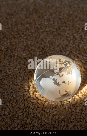 Globe en verre sur les grains du blé mis en lumière par le soleil pour représenter une crise alimentaire / pénurie Banque D'Images