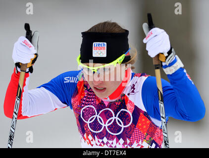 La Pierre Saint Martin, la Russie. Feb 11, 2014. La skieuse tchèque Petra Novakova au cours de la les qualifications des femmes de la sprint cross-country au Jeux Olympiques d'hiver de 2014 à la Pierre Saint Martin, la Russie, le 11 février 2014. Photo : CTK/Vondrous Romain Photo/Alamy Live News Banque D'Images