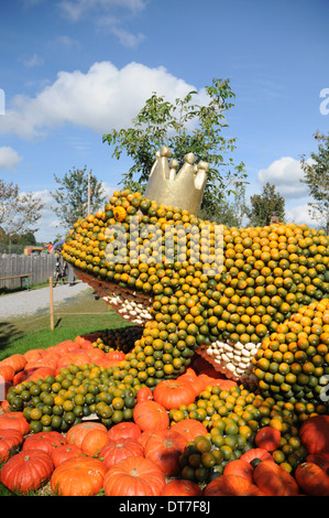 Le Roi Grenouille citrouille Banque D'Images