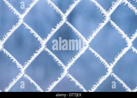 Photo de grille la chaîne lien couvert de givre Banque D'Images