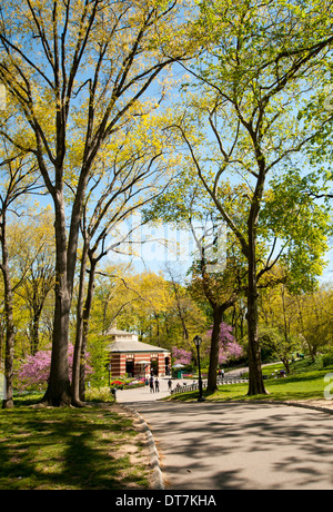 Le printemps à Central Park, New York City USA Banque D'Images