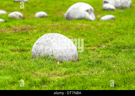 Photo de pierres sur une herbe verte Banque D'Images