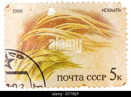 Poster de timbres en URSS (CCCP, Union soviétique) montre l'image de l'herbe avec l'inscription 'Grass' Banque D'Images