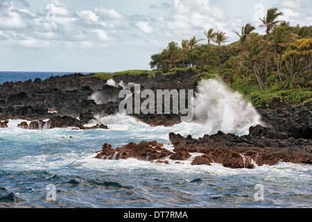 Les vagues déferlent contre la lave rivage à Waianapanapa State Park sur l'île de Maui. Banque D'Images