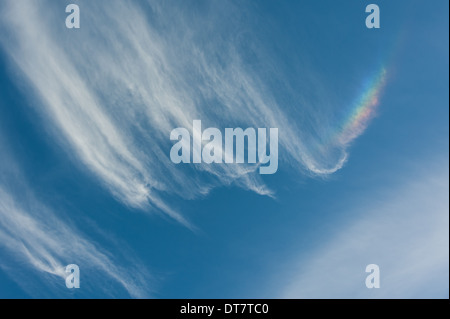 Cette queue prismatique d'un arc-en-ciel nuage (ou 'fire' arc-en-ciel) est causée par la lumière du soleil et les cristaux de glace. Banque D'Images