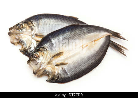 Les non-teints kippers fumés écossais isolated on a white background studio. Banque D'Images