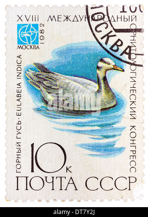 Timbres en URSS (Russie) montre un oiseau Eulabeia indica Banque D'Images