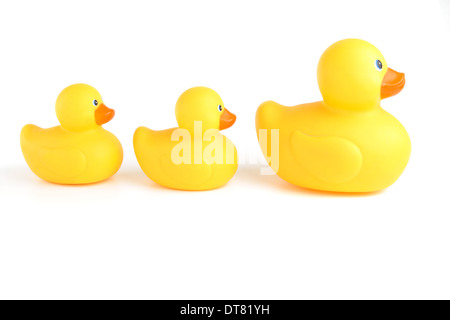 Maman canard et ses bébés ou canards dans une rangée Banque D'Images