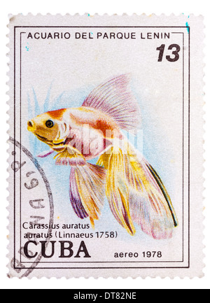 CUBA - circa 1978 : un timbre-poste imprimé dans la Cuba montre Carassius auratus auratus - poissons rouges asiatiques, vers 1978 Banque D'Images