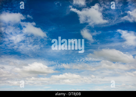 Cirrus nuages contre ciel bleu, ciel d'été, beau temps Banque D'Images