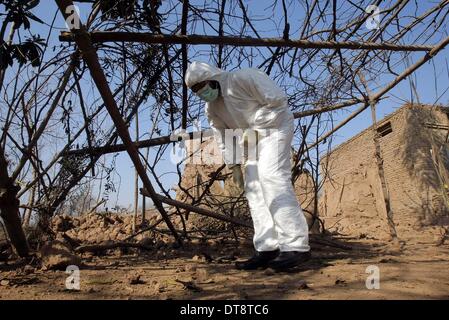 Peshawar, Pakistan. 12 Février, 2014. Un responsable de la sécurité pakistanaise inspecte le site d'une attaque par des militants dans le nord-ouest de Peshawar au Pakistan, le 12 février 2014. Au moins 10 personnes ont été tuées lorsque certains militants inconnus d'assaut la maison d'un commandant de milice locales de paix dans le nord-ouest du Pakistan Peshawar ville, les médias locaux ont rapporté mercredi matin. Credit : Umar Qayyum/Xinhua/Alamy Live News Banque D'Images