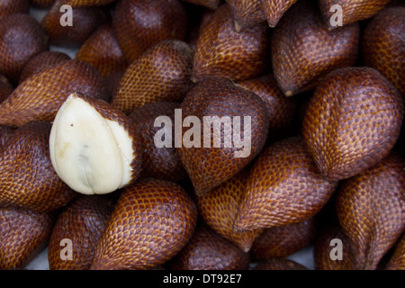 (Salak Salacca zalacca) est une espèce de palmier (famille des Arecaceae) originaire d'Indonésie Banque D'Images