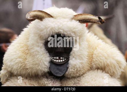 Pernik, Bulgarie - le 25 janvier 2014 : Garçon non identifié avec costume traditionnel Kukeri sont vus à la le Festival International Banque D'Images