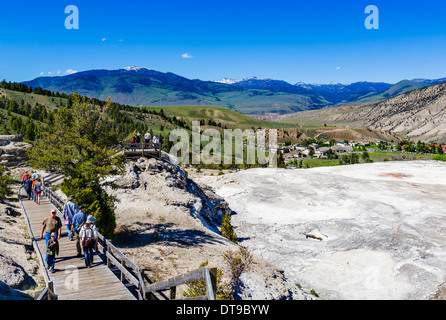 La demande parallèlement à la terrasse principale à Mammoth Hot Springs Terrasses, Parc National de Yellowstone, Wyoming, USA Banque D'Images