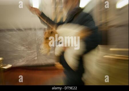 Manhattan, New York, USA. 12 Février, 2014. SIMON SIMAAN avec 138e Westminster Kennel Club Dog Show winner CIEL, s 5-year-old wire fox terrier comme ils visitent l'Empire State Building, le mercredi 12 février 2014. © Bryan Smith/ZUMAPRESS.com/Alamy Live News Banque D'Images