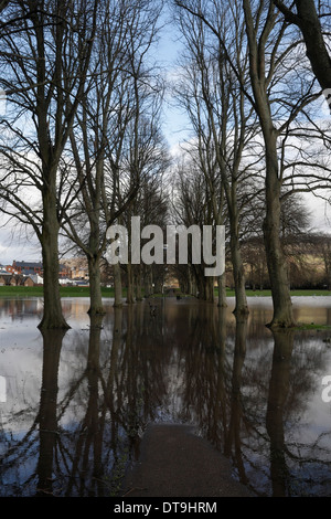 Jeu de Monmouth au Pays de Galles, inondé en raison de verglas Feb 2014 Banque D'Images