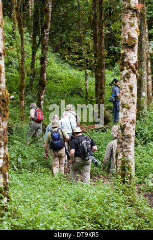 Les éco-touristes et guide local. . Savegre San Gerardo de Dota. Costa Rica. L'Amérique centrale. Banque D'Images