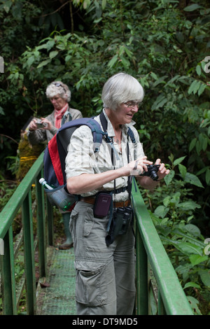 La rivière Savegre. Las de la cataracte. San Gerado de doto. Costa Rica. Les éco-touristes photographiant à partir d'un point de vue sur le pont. Banque D'Images