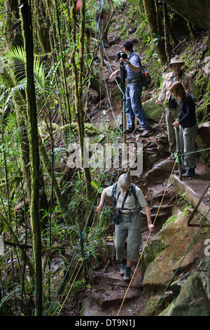 Les éco-touristes grimper vers le bas dessous pour afficher une cascade. La rivière Savegre. San Gerado de Dota. Costa Rica. L'Amérique centrale. Banque D'Images