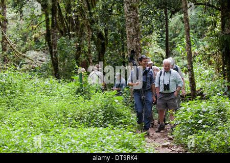 Les éco-touristes et guide local. . Savegre San Gerardo de Dota. Costa Rica. L'Amérique centrale. Banque D'Images