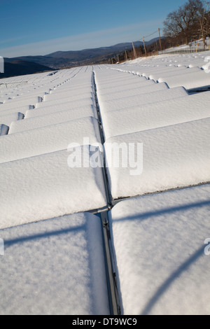 Collecteurs solaires ne recueillent pas beaucoup de soleil après une lourde tempête de neige à New England's Berkshires. Banque D'Images