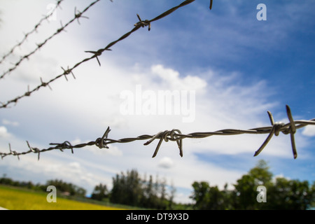 Tenir hors ! Barbwire garde les animaux dans le champ de l'agriculteur. Banque D'Images