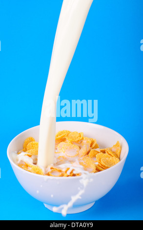 Petit déjeuner de verser le lait et céréales sur fond bleu Banque D'Images