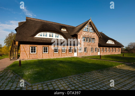 Maison de chaume, Rügen, Mecklembourg-Poméranie-Occidentale, Allemagne Banque D'Images