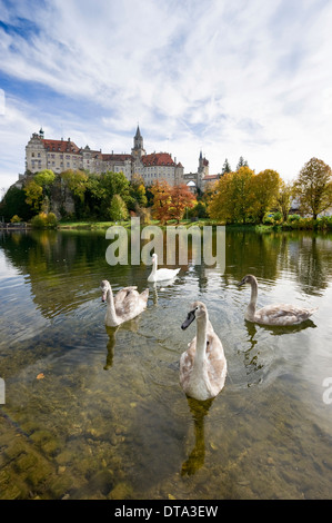 Cygnes en face du château de Sigmaringen, Schloss, le Château de Hohenzollern Sigmaringen, Bade-Wurtemberg, Allemagne Banque D'Images