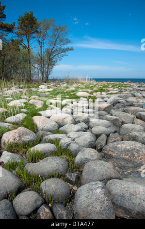 Rochers sur la côte, Pärispea Péninsule, parc national de Lahemaa, l'Estonie, Pays Baltes Banque D'Images