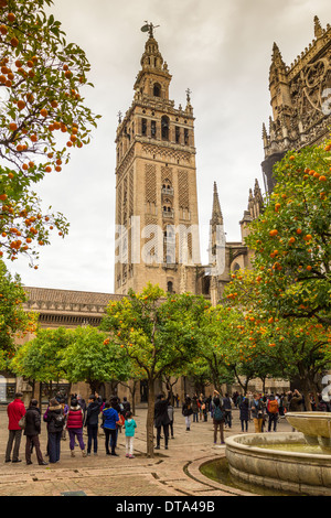 La Cathédrale de Séville Espagne touristes Écouter sonner la cloche DANS LA TOUR GIRALDA À NOËL Banque D'Images