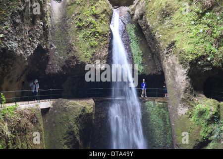 Cascade sur la Levada Nova, Madère, près de Ponta do Sol Banque D'Images
