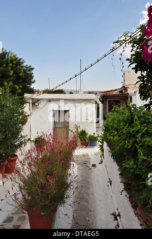 Sentier étroit avec des plantes et des petites maisons dans le quartier traditionnel de style village Anafiotika, l'architecture de la ville. Banque D'Images