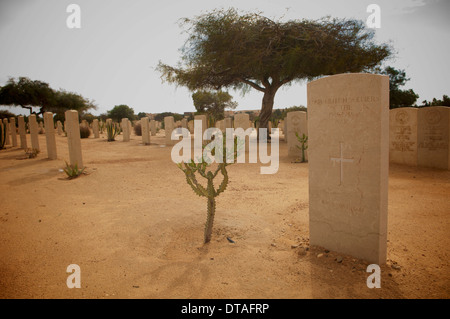 Les pierres tombales du cimetière des alliés d'El Alamein en Egypte. Banque D'Images