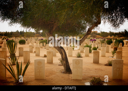 Les pierres tombales du cimetière des alliés d'El Alamein en Egypte. Banque D'Images