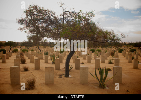 Les pierres tombales du cimetière des alliés d'El Alamein en Egypte. Banque D'Images